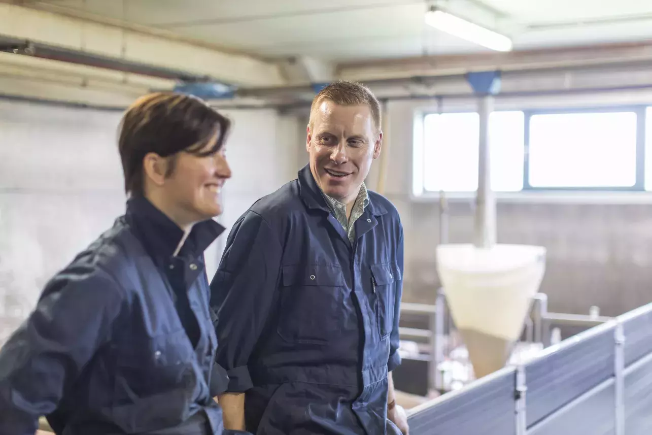 David en Inge, de Breydel varkenshouders