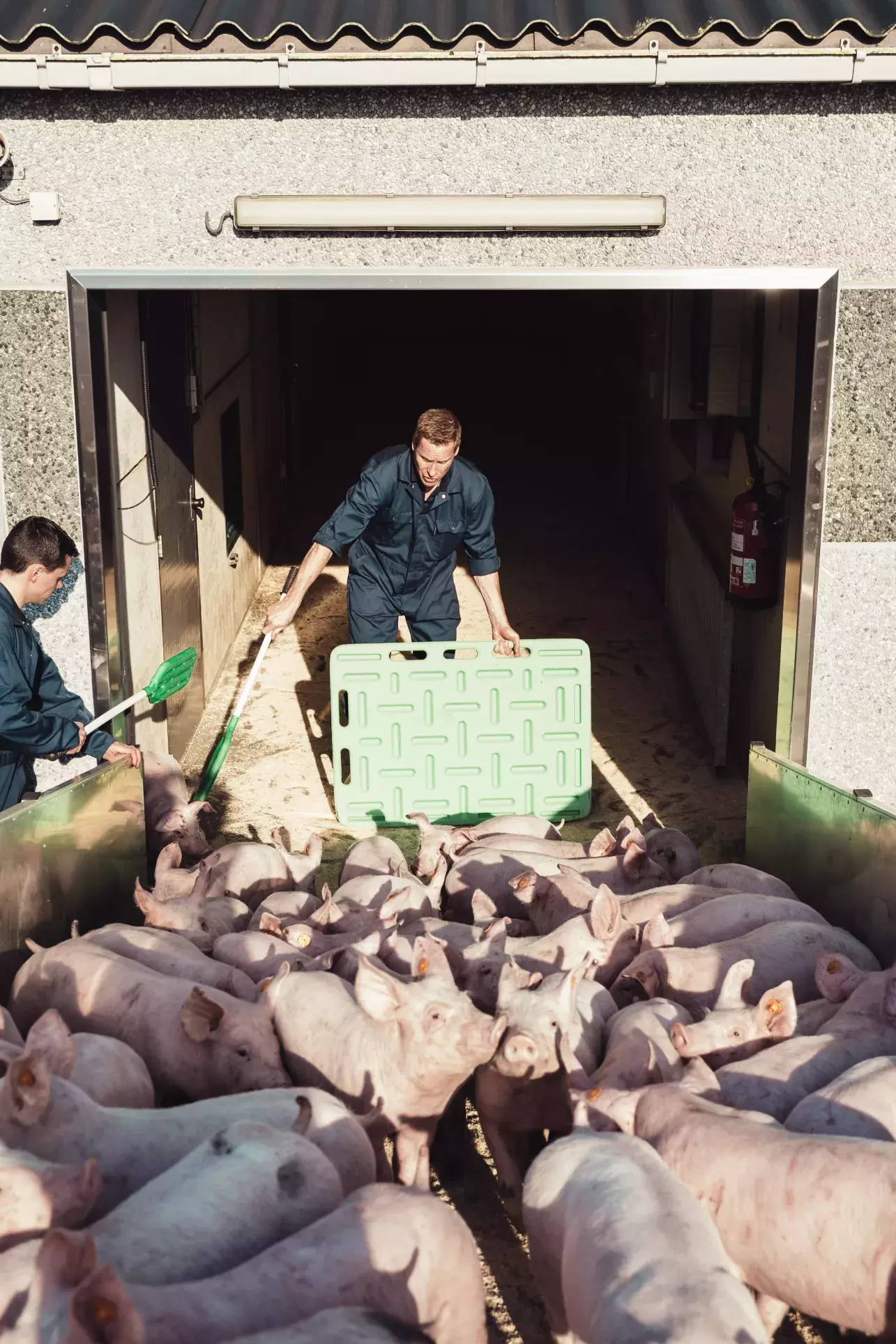 Korte keten van boer tot bord