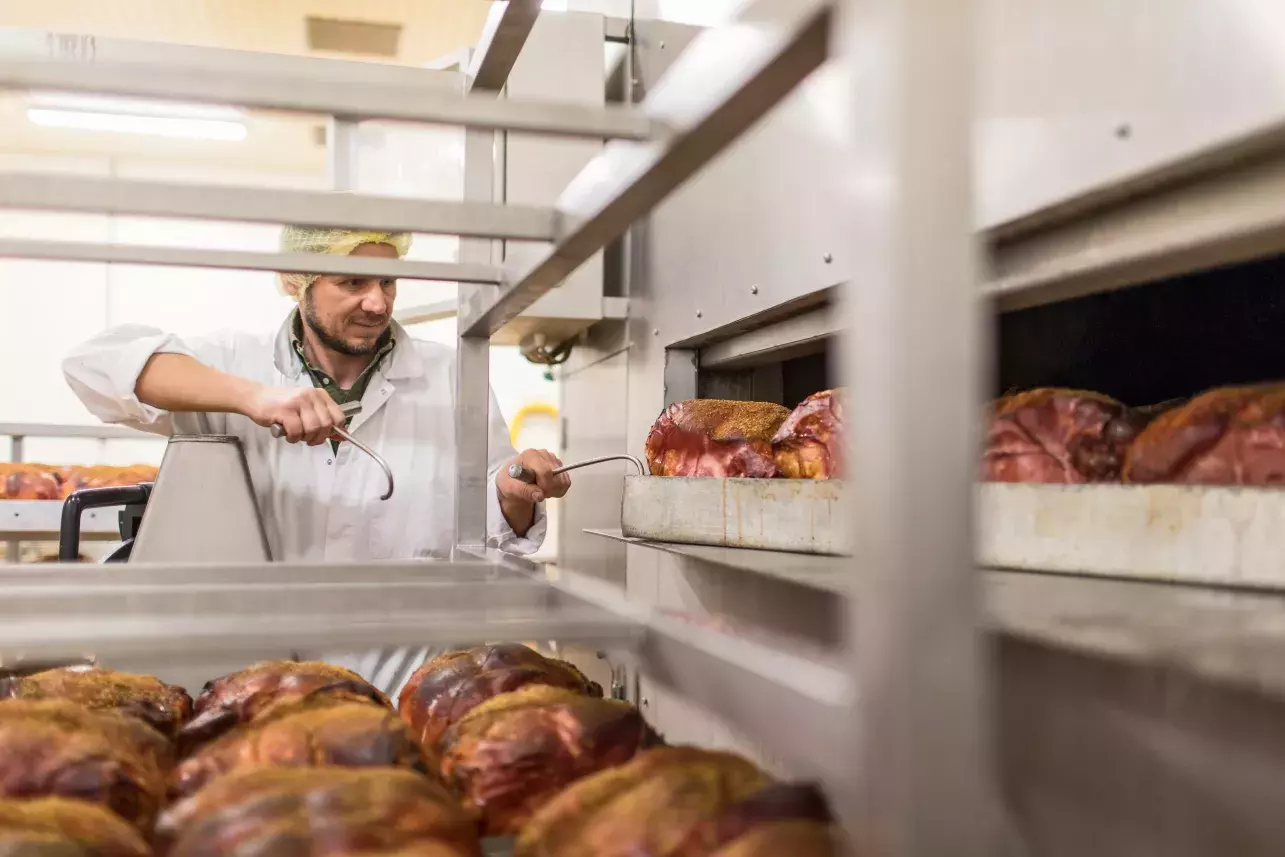 ugfed
