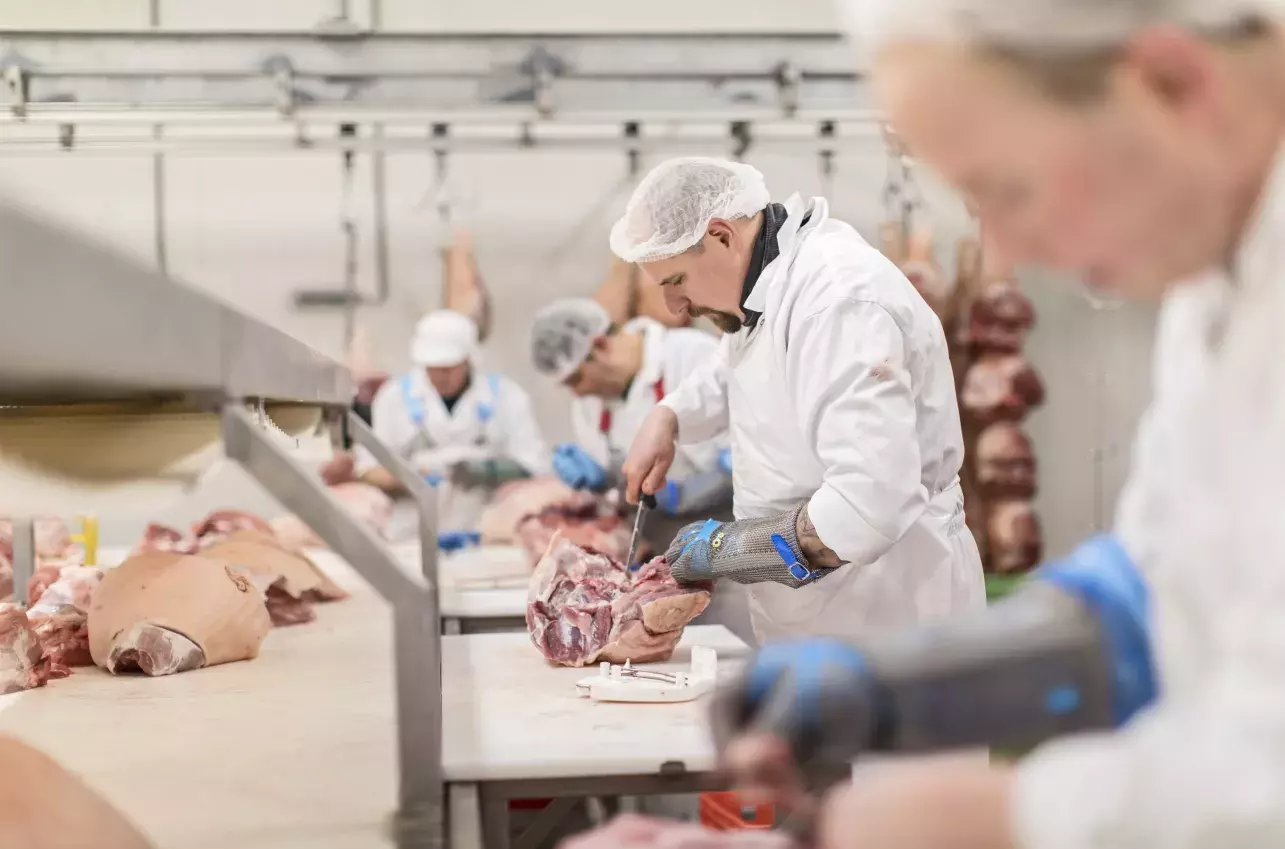 puur vakmanschap in de snijzaal