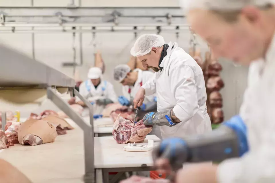 puur vakmanschap in de snijzaal