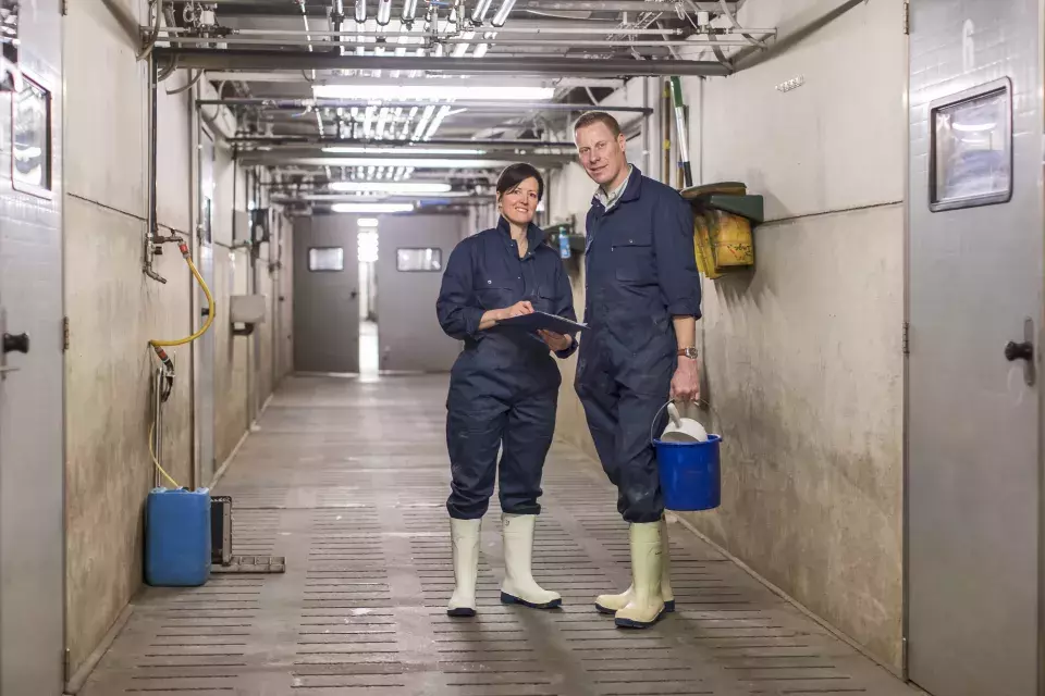 David en Inge, de Breydel varkenshouders